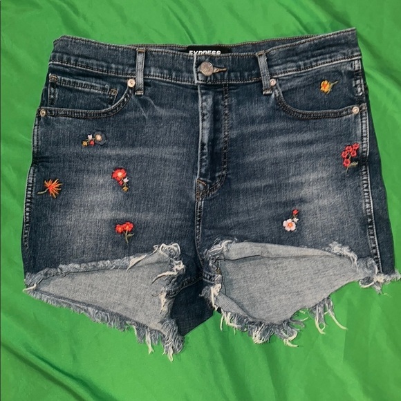 Express Pants - Express Embroidered Denim Shorts size 10
